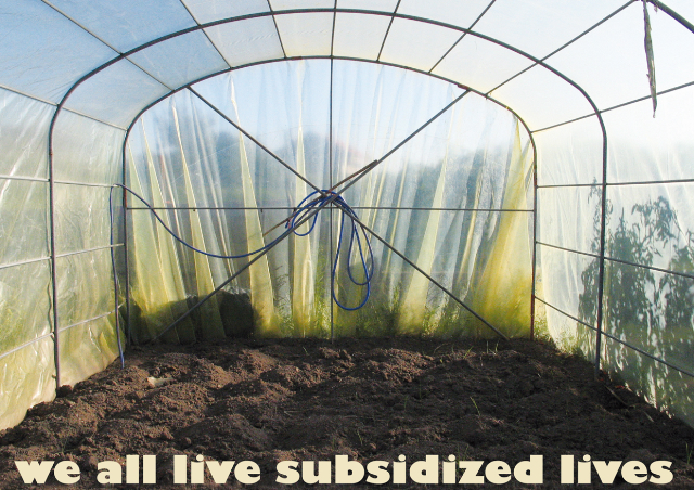 WE ALL LIVE SUBSIDIZED LIVES